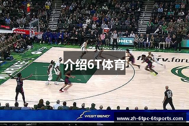 介绍6T体育